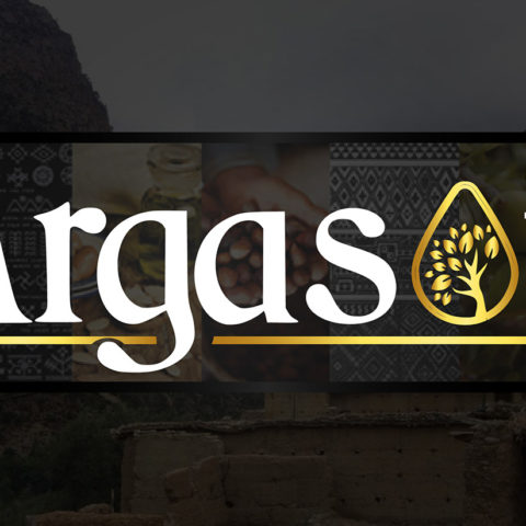 Arga Soft Logo Design